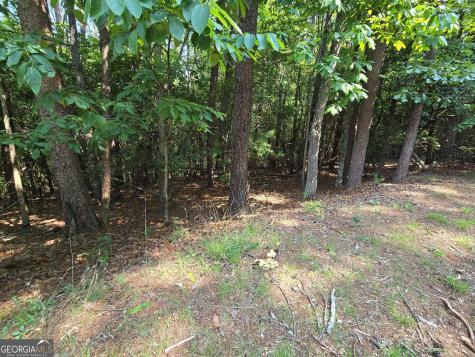C2 Quail Run Sautee Nacoochee GA 30571