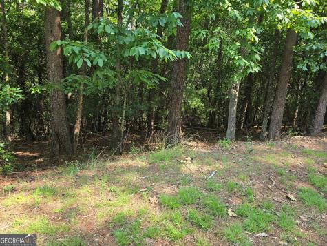 C2 Quail Run Sautee Nacoochee GA 30571