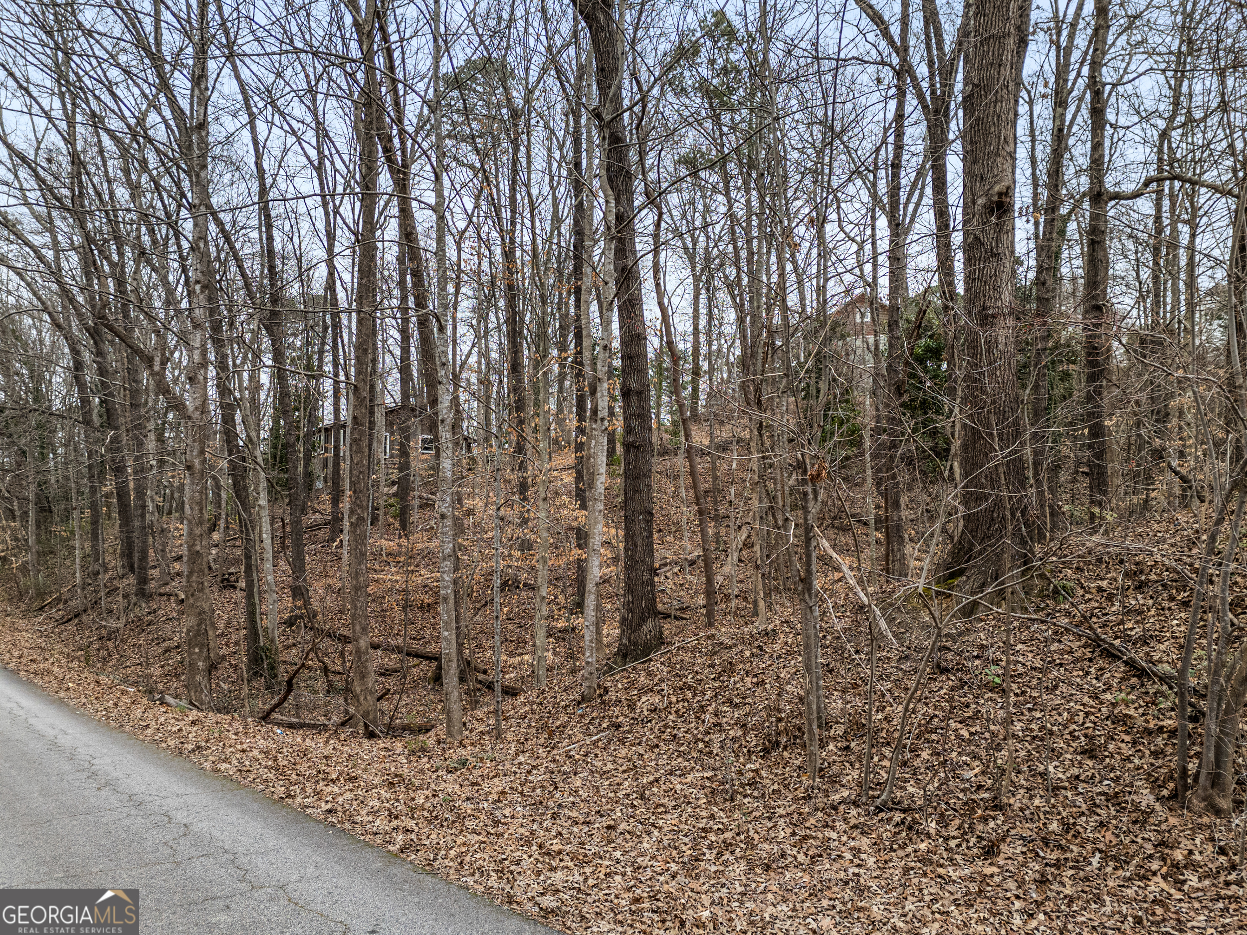 91 Remsdale Street Toccoa GA 30577