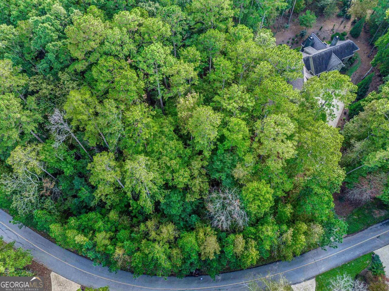 0 Snug Harbor Drive Greensboro GA 30642