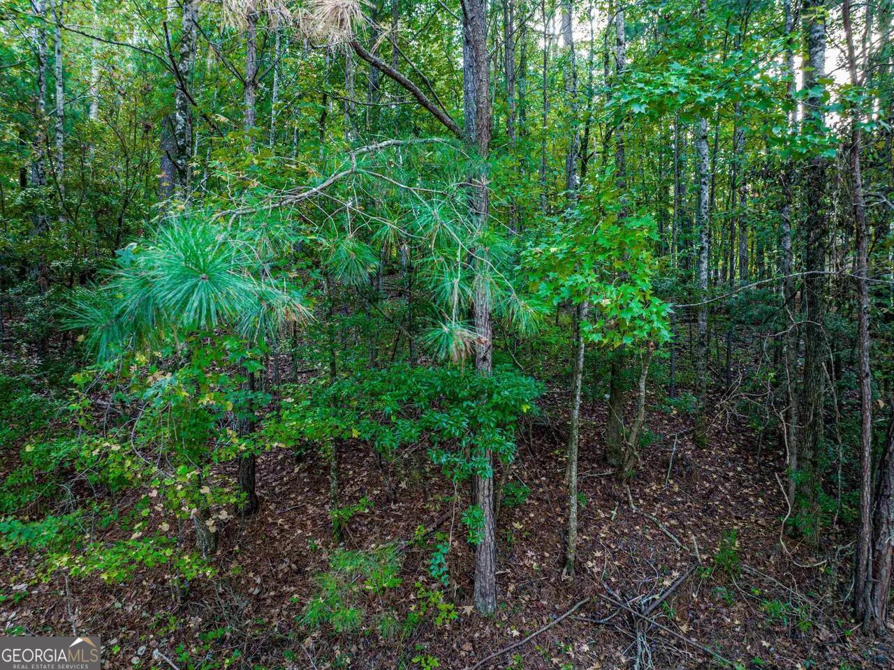 0 Snug Harbor Drive Greensboro GA 30642