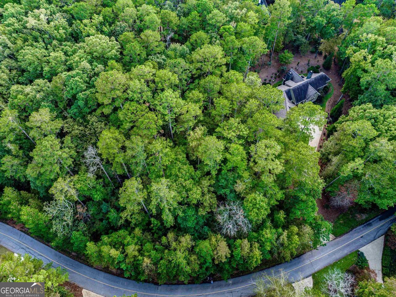 0 Snug Harbor Drive Greensboro GA 30642