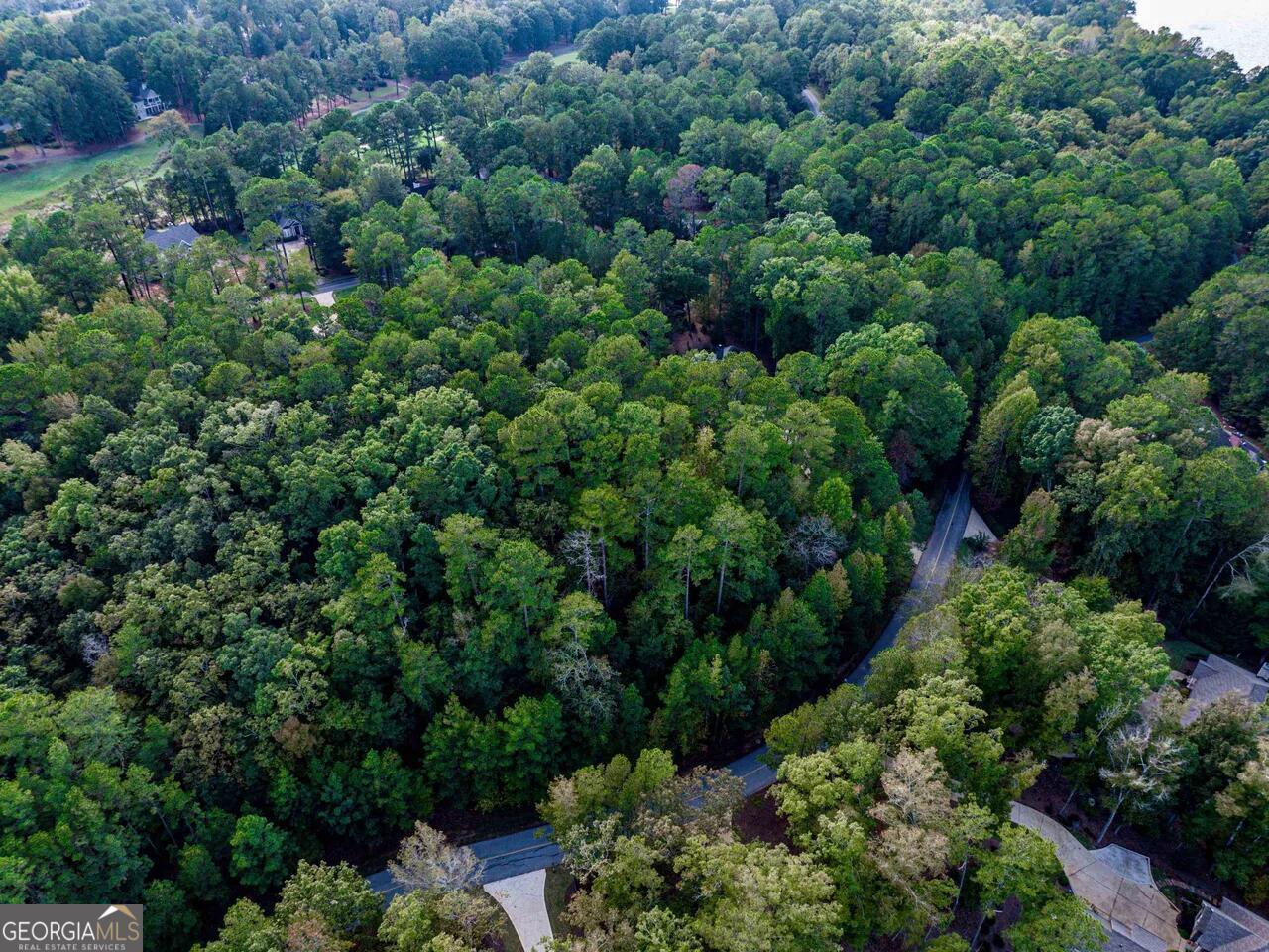 0 Snug Harbor Drive Greensboro GA 30642