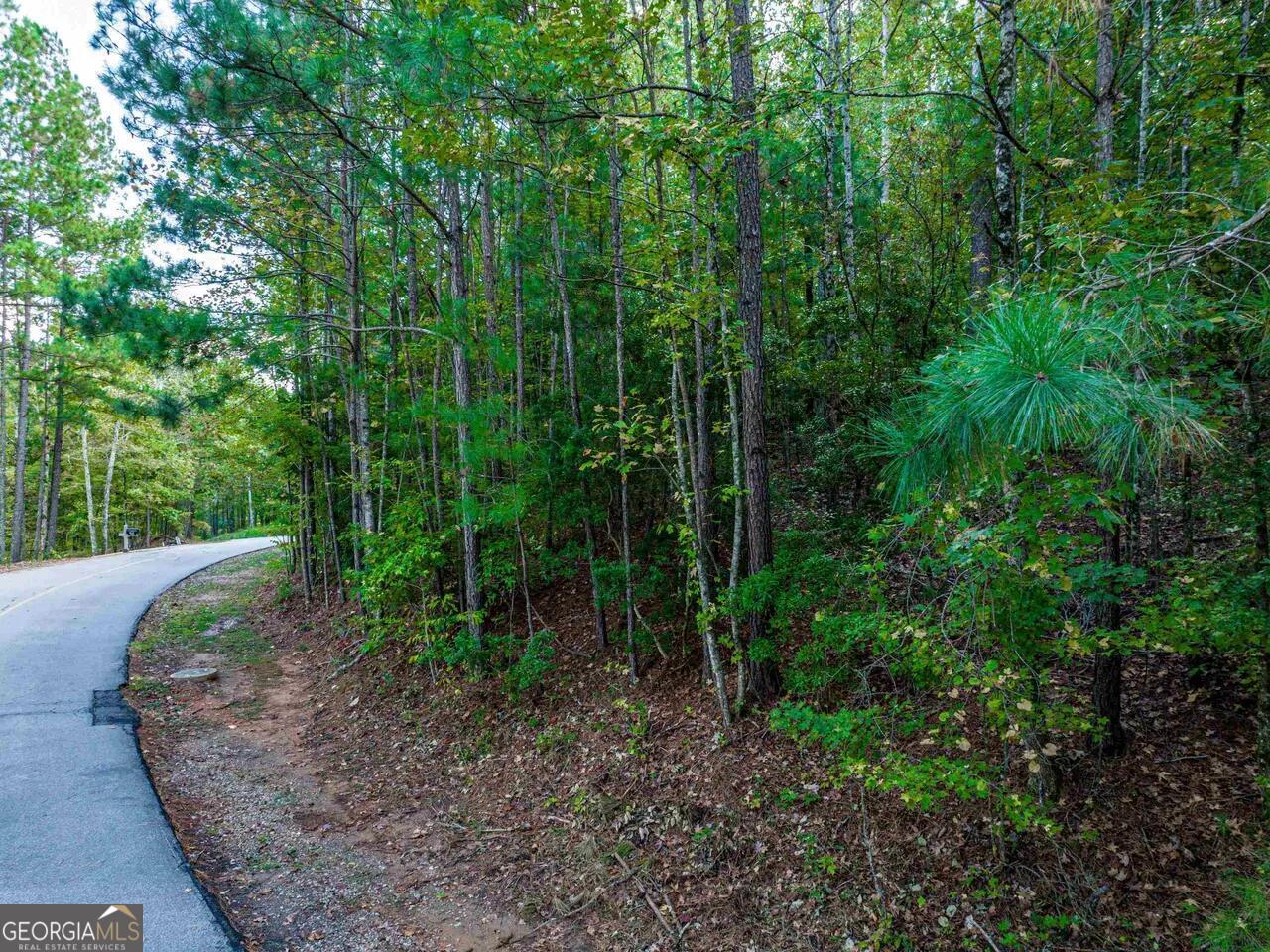 0 Snug Harbor Drive Greensboro GA 30642