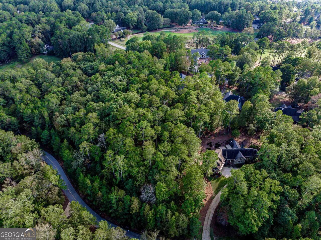0 Snug Harbor Drive Greensboro GA 30642