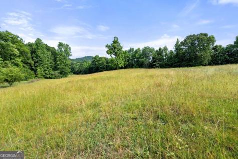 0 Freeman View Trail Cleveland GA 30528