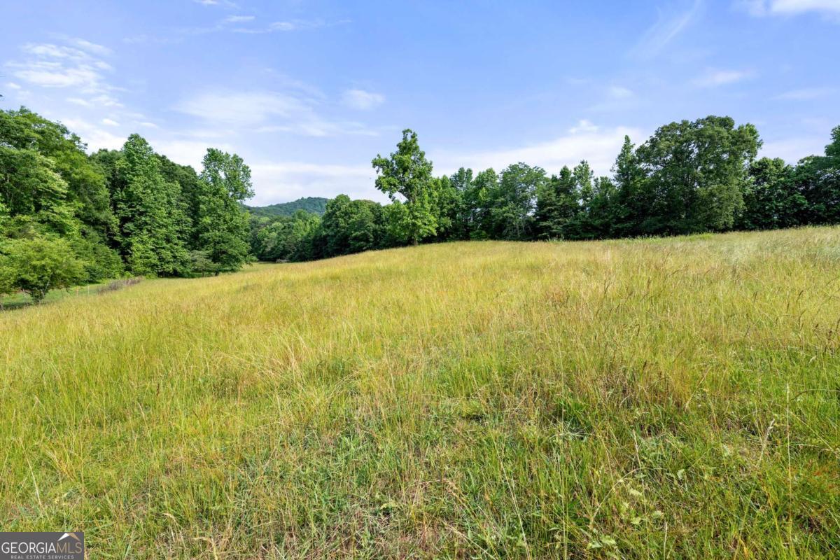 0 Freeman View Trail Cleveland GA 30528