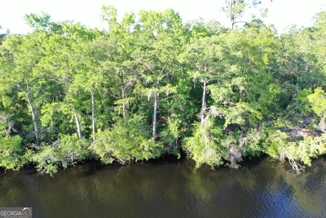 891 Lake Deborah Drive Folkston GA 31537