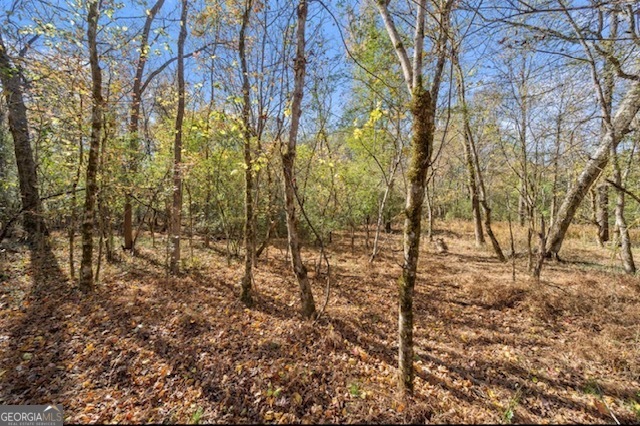 0 Cords Bridge Road Milledgeville GA 31061