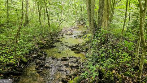 0 River Run North Clayton GA 30525