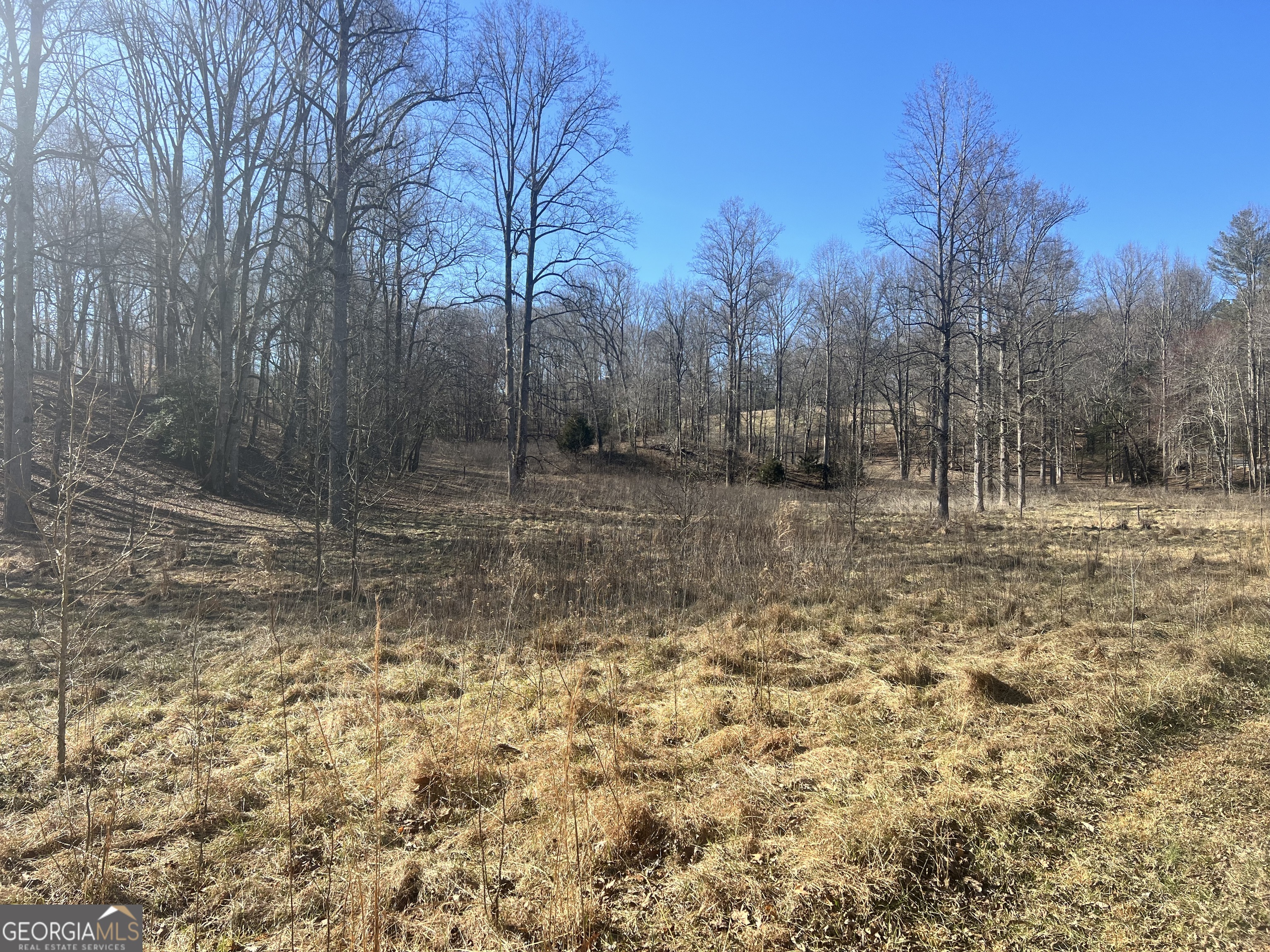 0 Old H K Wagon Road Cleveland GA 30528