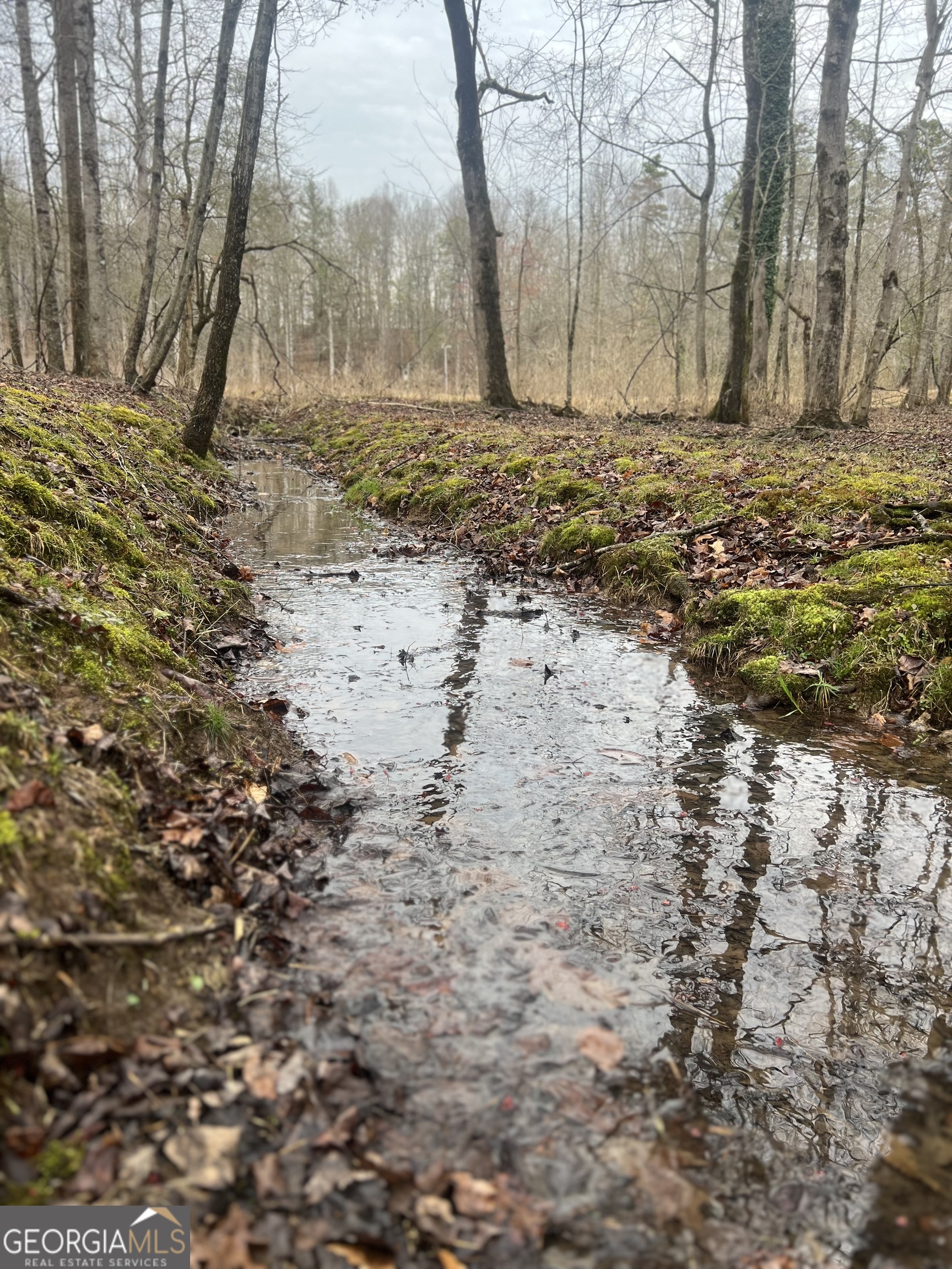 0 Old H K Wagon Road Cleveland GA 30528