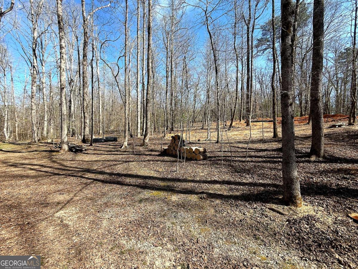 1125 Pecks Road Dahlonega GA 30533