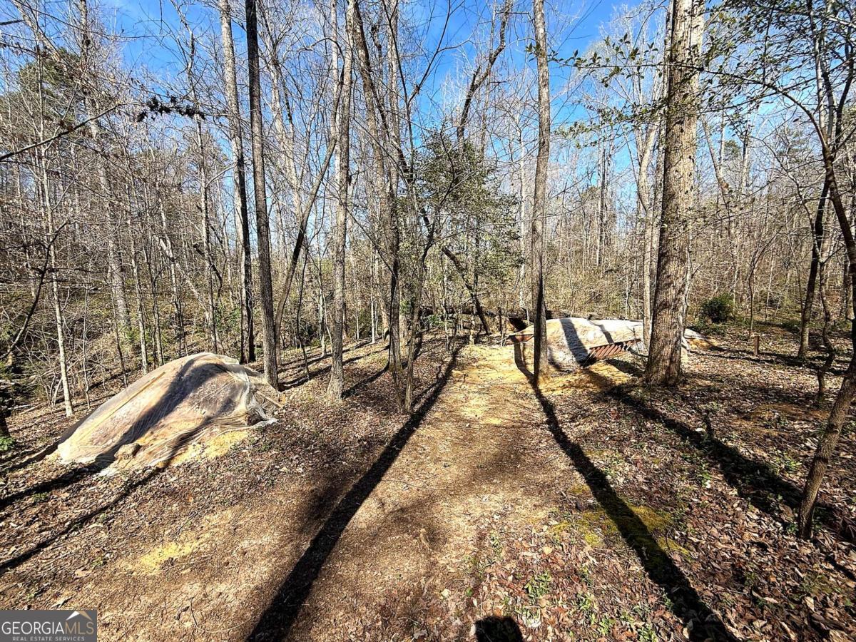 1125 Pecks Road Dahlonega GA 30533