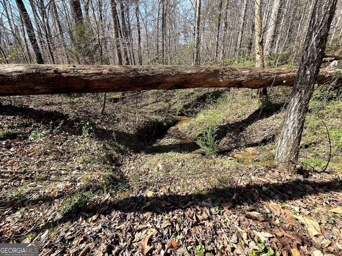 1125 Pecks Road Dahlonega GA 30533