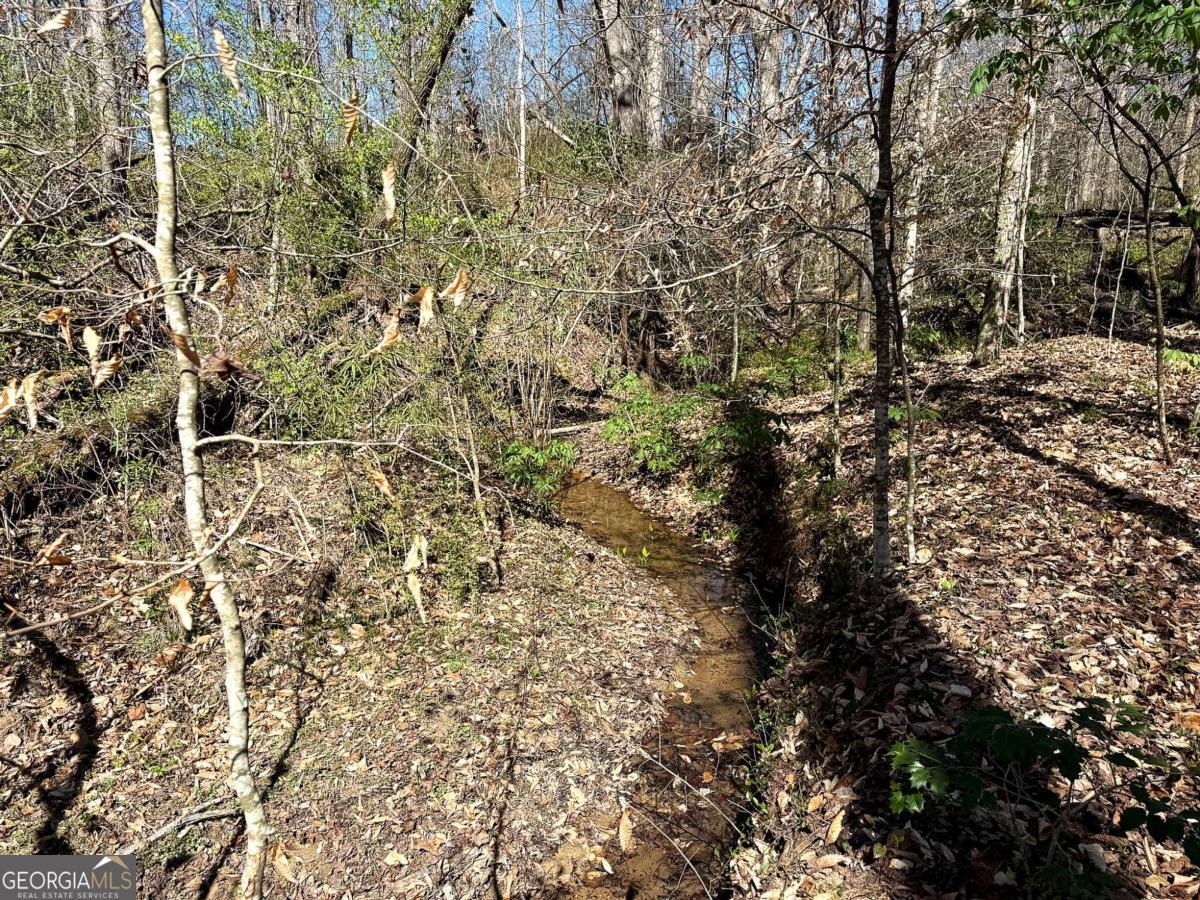 1125 Pecks Road Dahlonega GA 30533