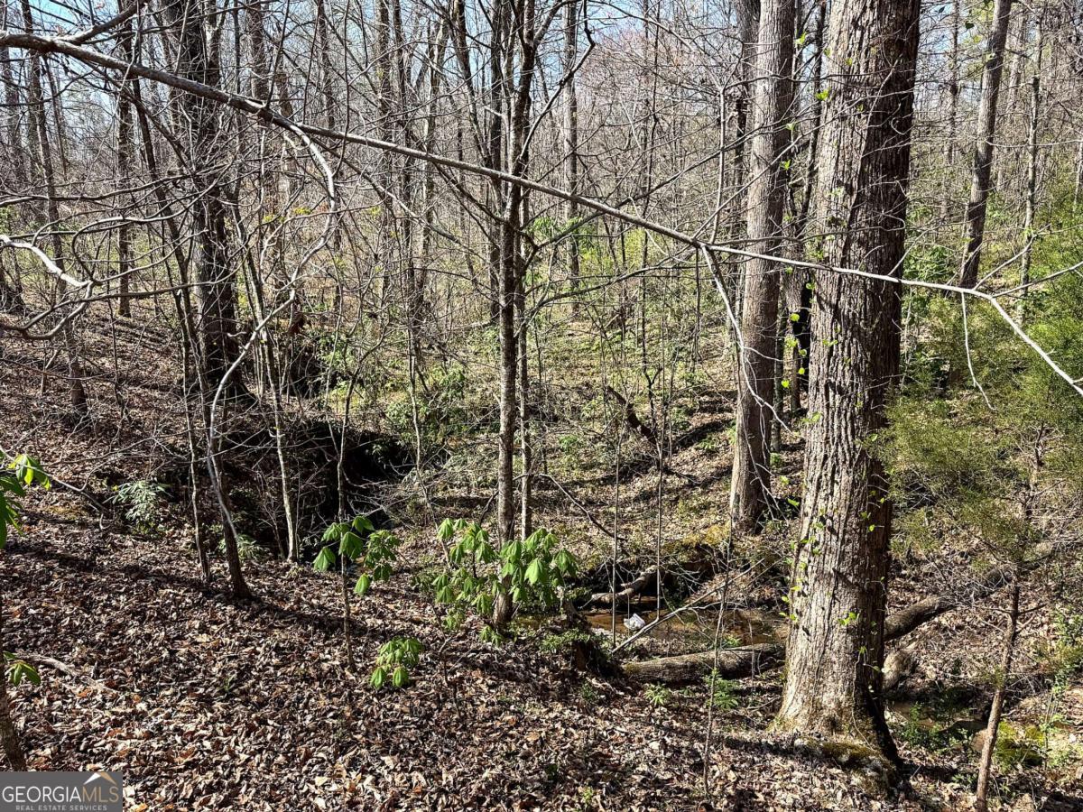 1125 Pecks Road Dahlonega GA 30533