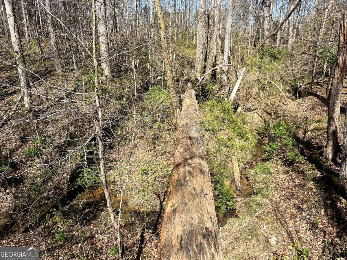 1125 Pecks Road Dahlonega GA 30533