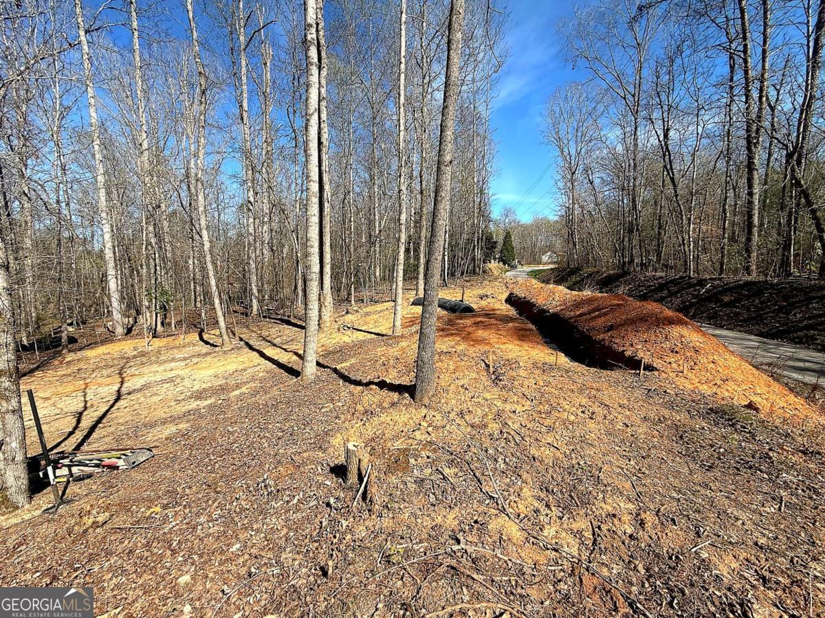 1125 Pecks Road Dahlonega GA 30533