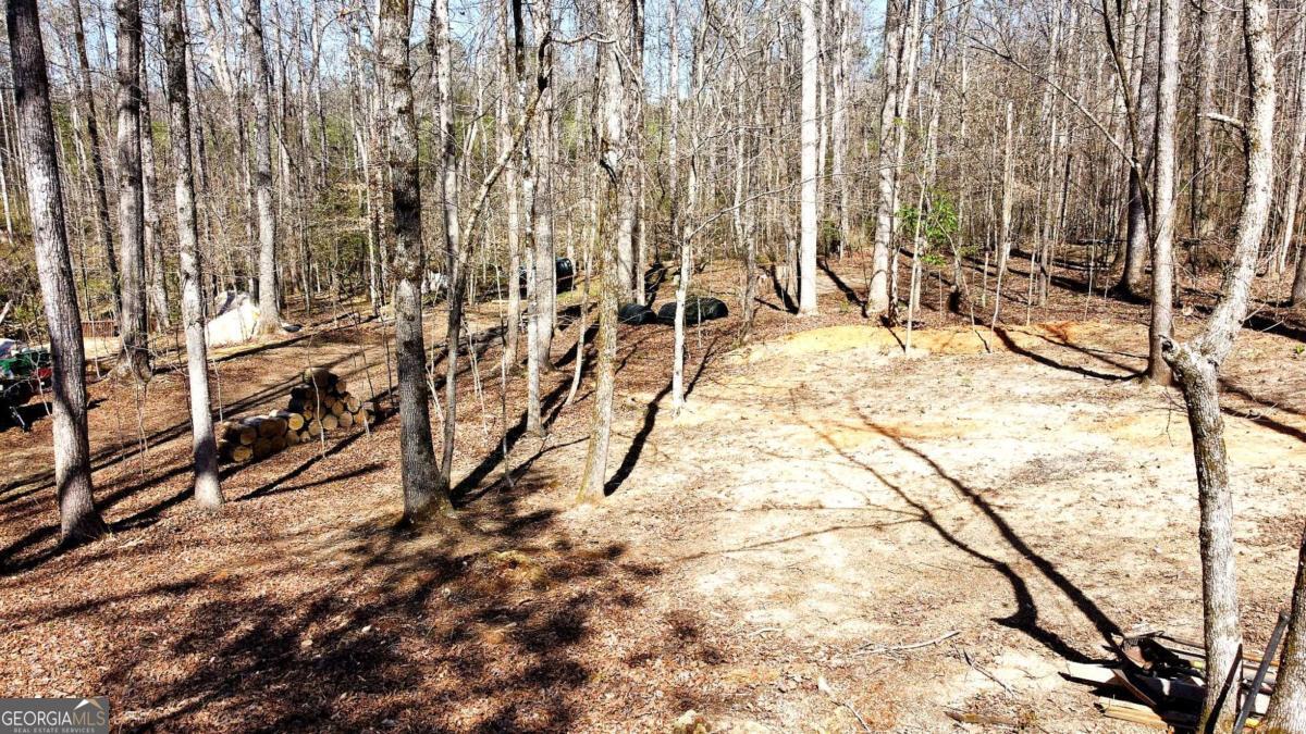 1125 Pecks Road Dahlonega GA 30533