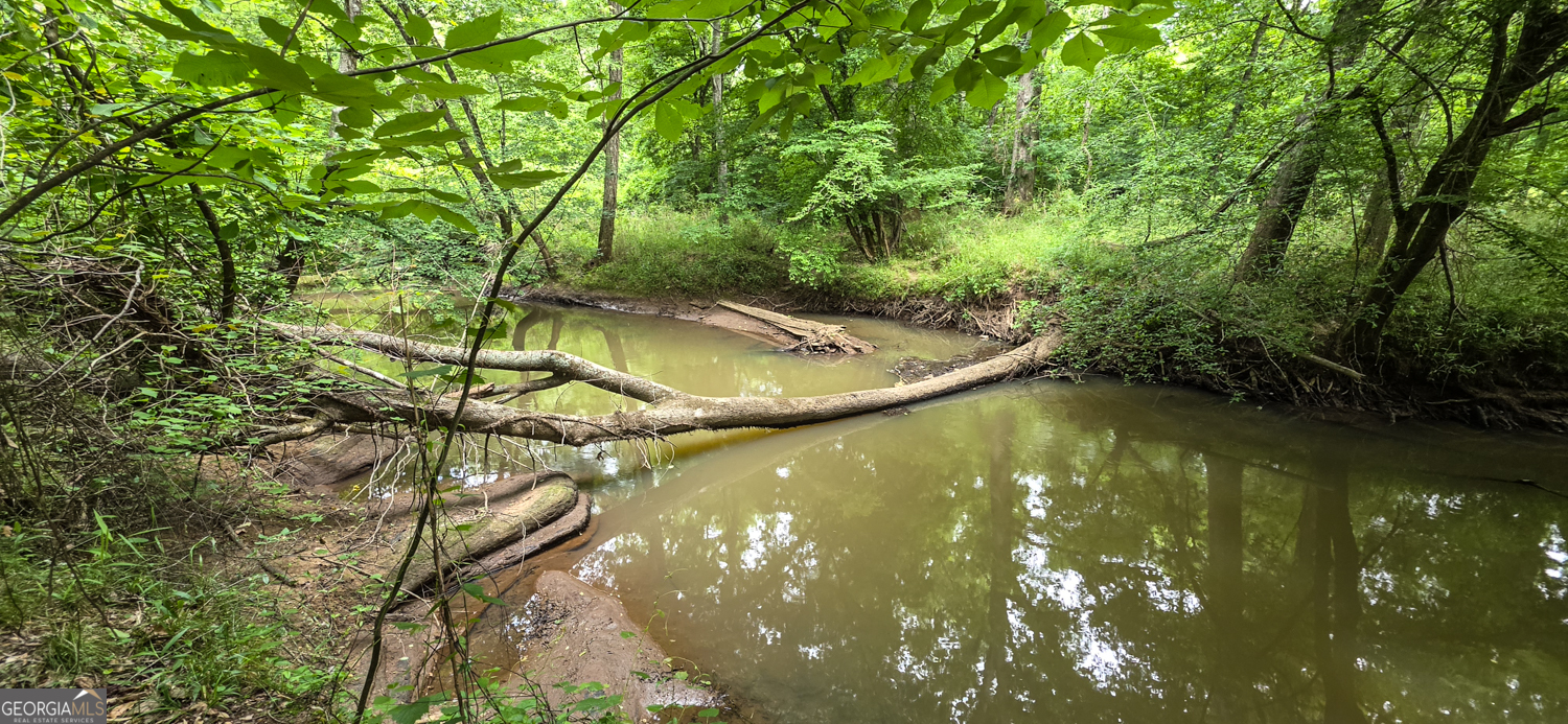 0 Padgett Road Senoia GA 30276