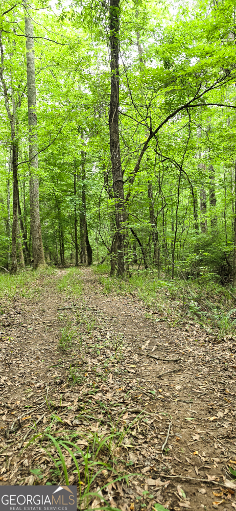 0 Padgett Road Senoia GA 30276