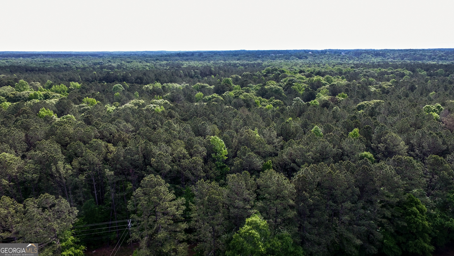 0 Padgett Road Senoia GA 30276