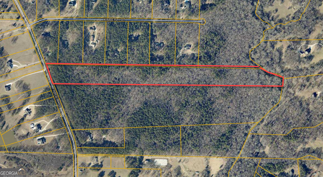 0 Padgett Road Senoia GA 30276