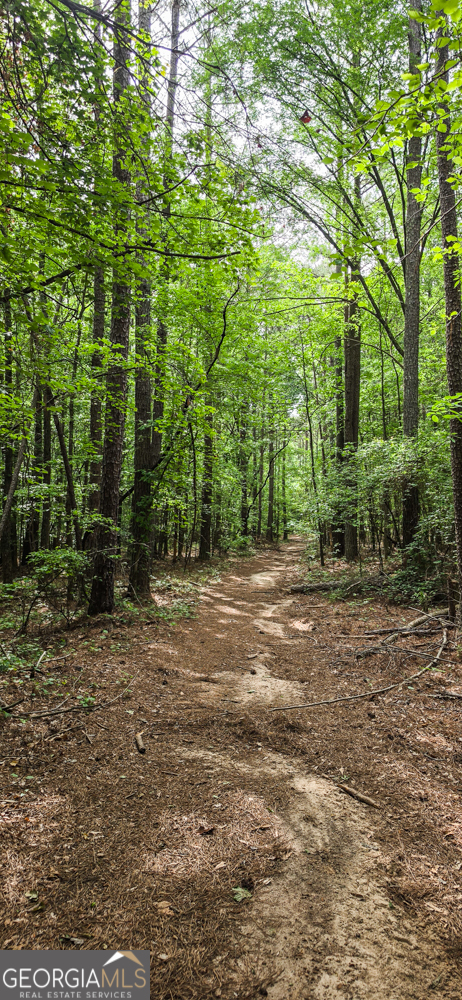 0 Padgett Road Senoia GA 30276