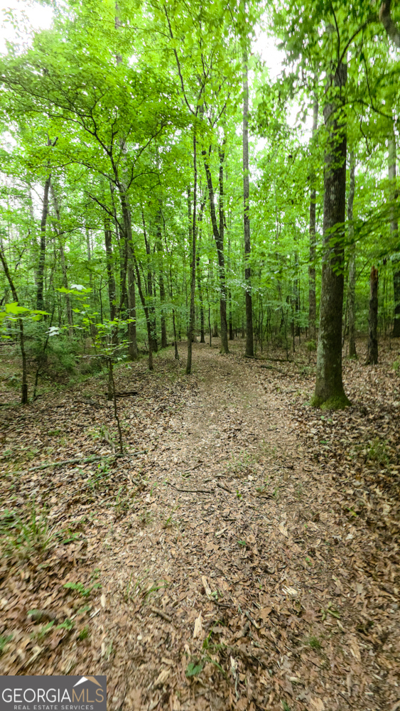0 Padgett Road Senoia GA 30276