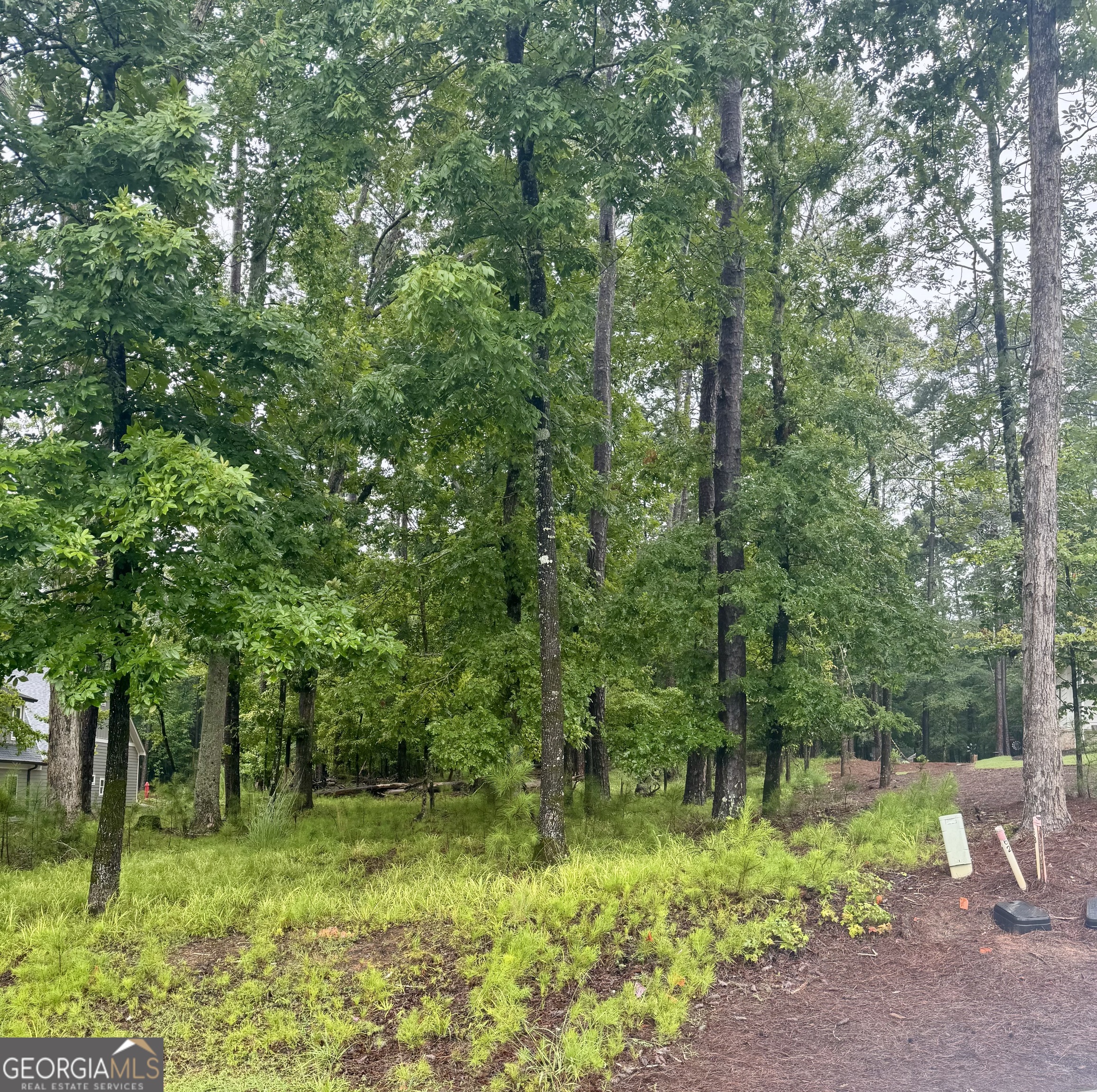 2191 Osprey Poynte Greensboro GA 30642