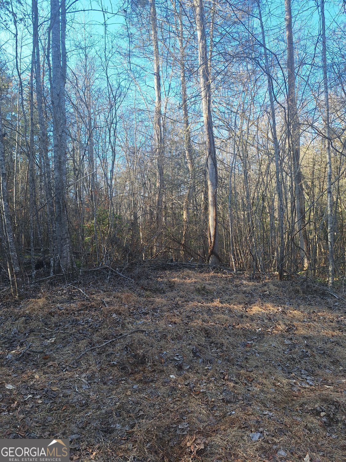 0 Bent Wood Lane Blue Ridge GA 30513