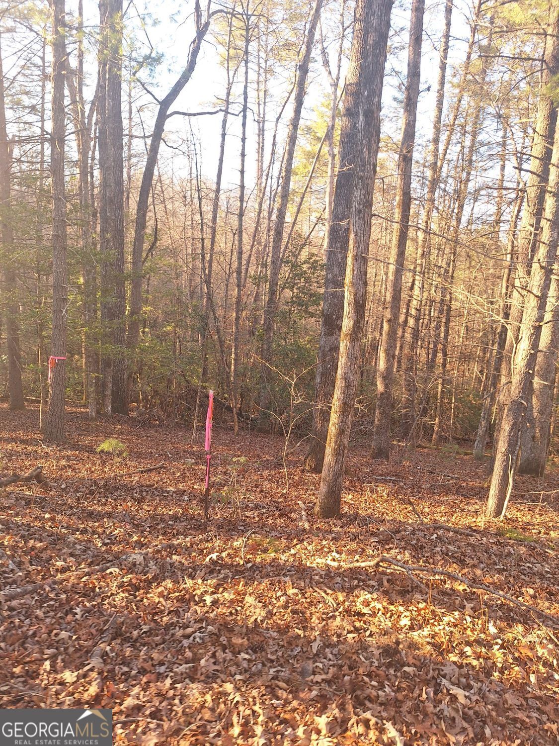 0 Bent Wood Lane Blue Ridge GA 30513