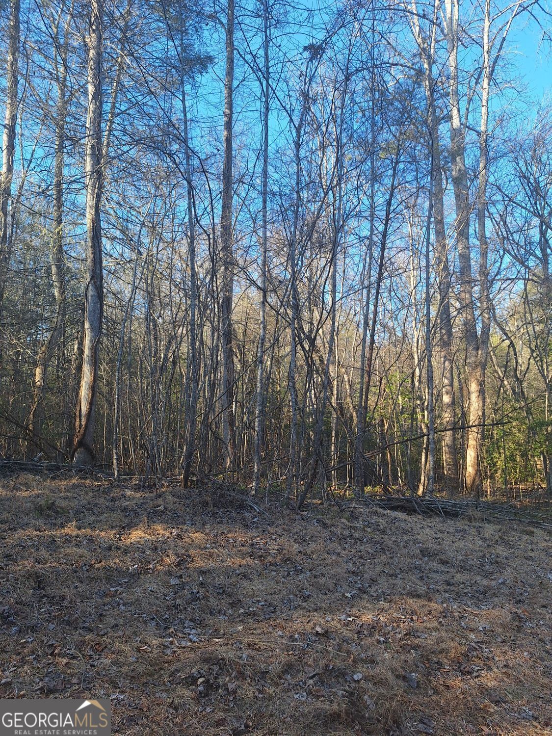 0 Bent Wood Lane Blue Ridge GA 30513