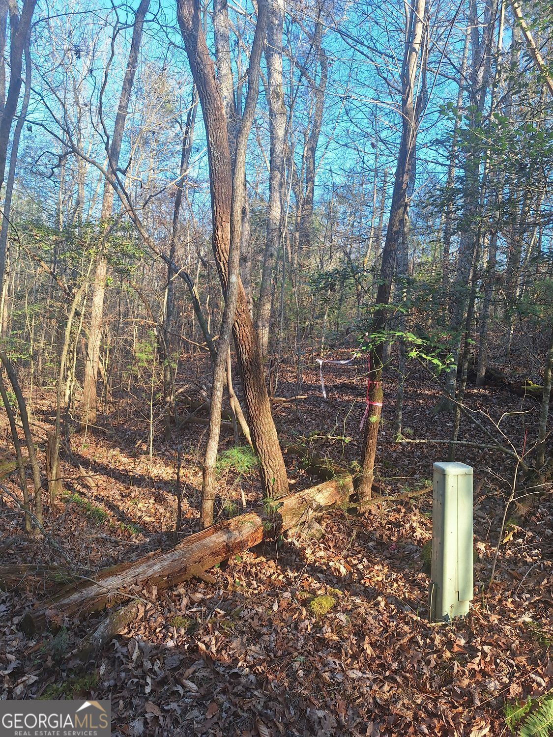 0 Bent Wood Lane Blue Ridge GA 30513