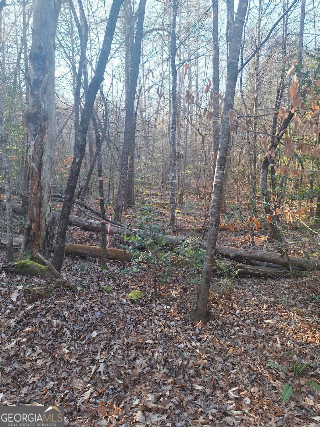 0 Bent Wood Lane Blue Ridge GA 30513