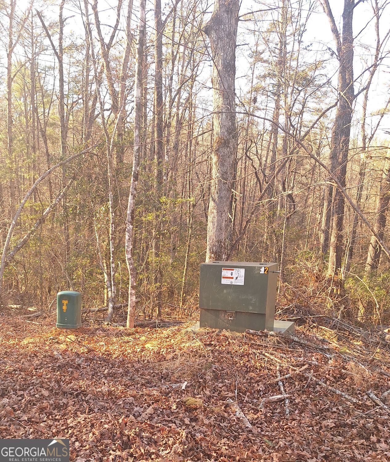 0 Bent Wood Lane Blue Ridge GA 30513