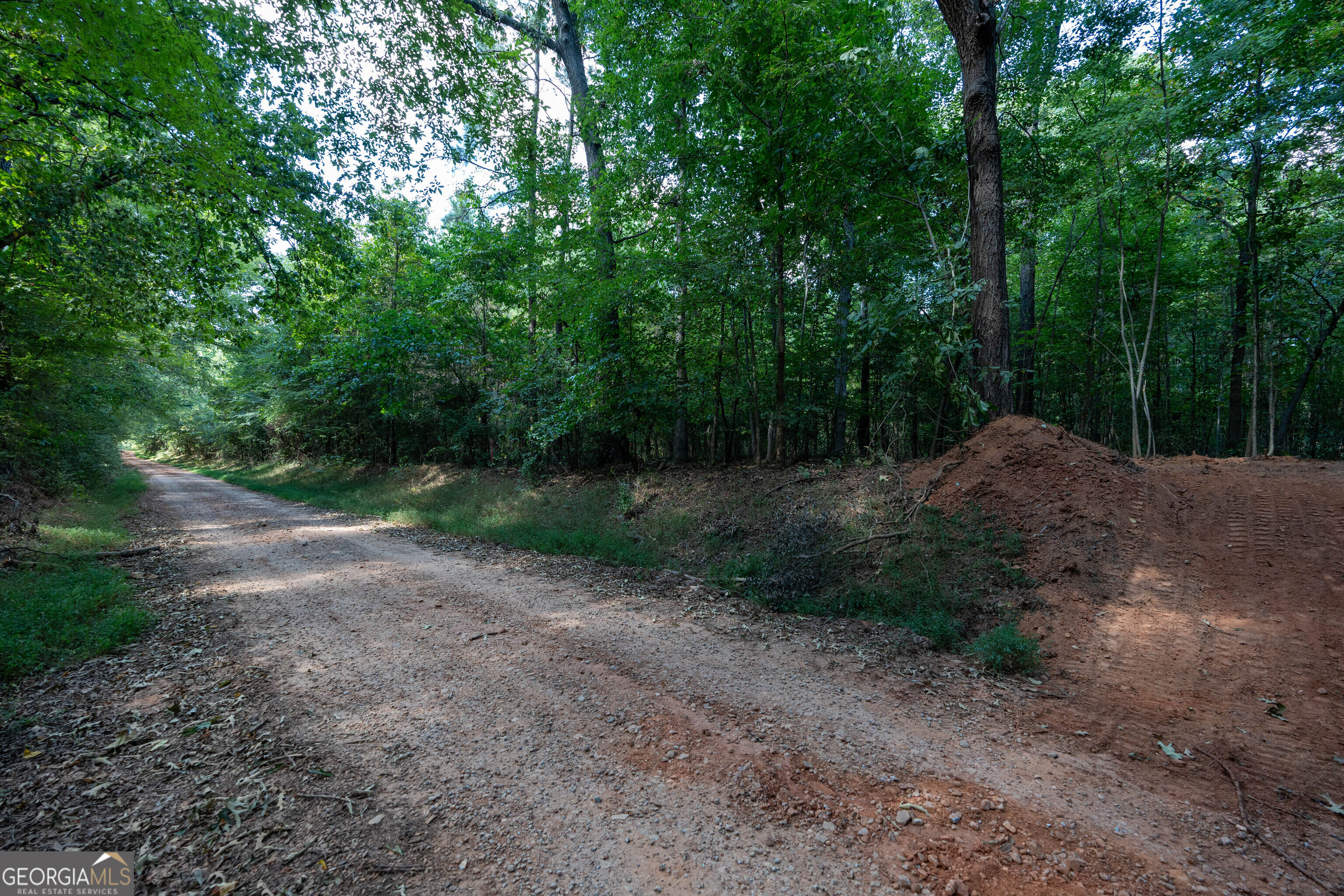 12 Bunch Road Tignall GA 30668