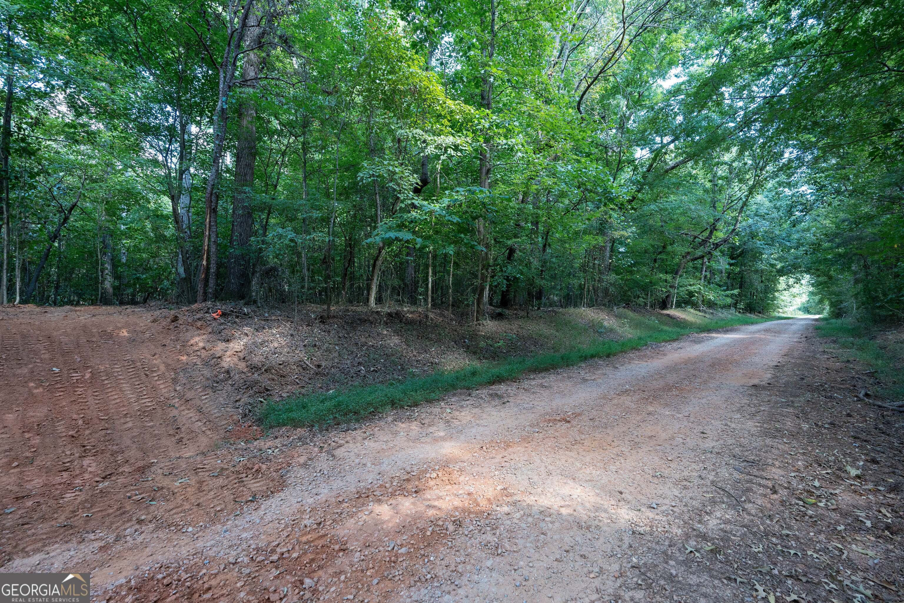 12 Bunch Road Tignall GA 30668