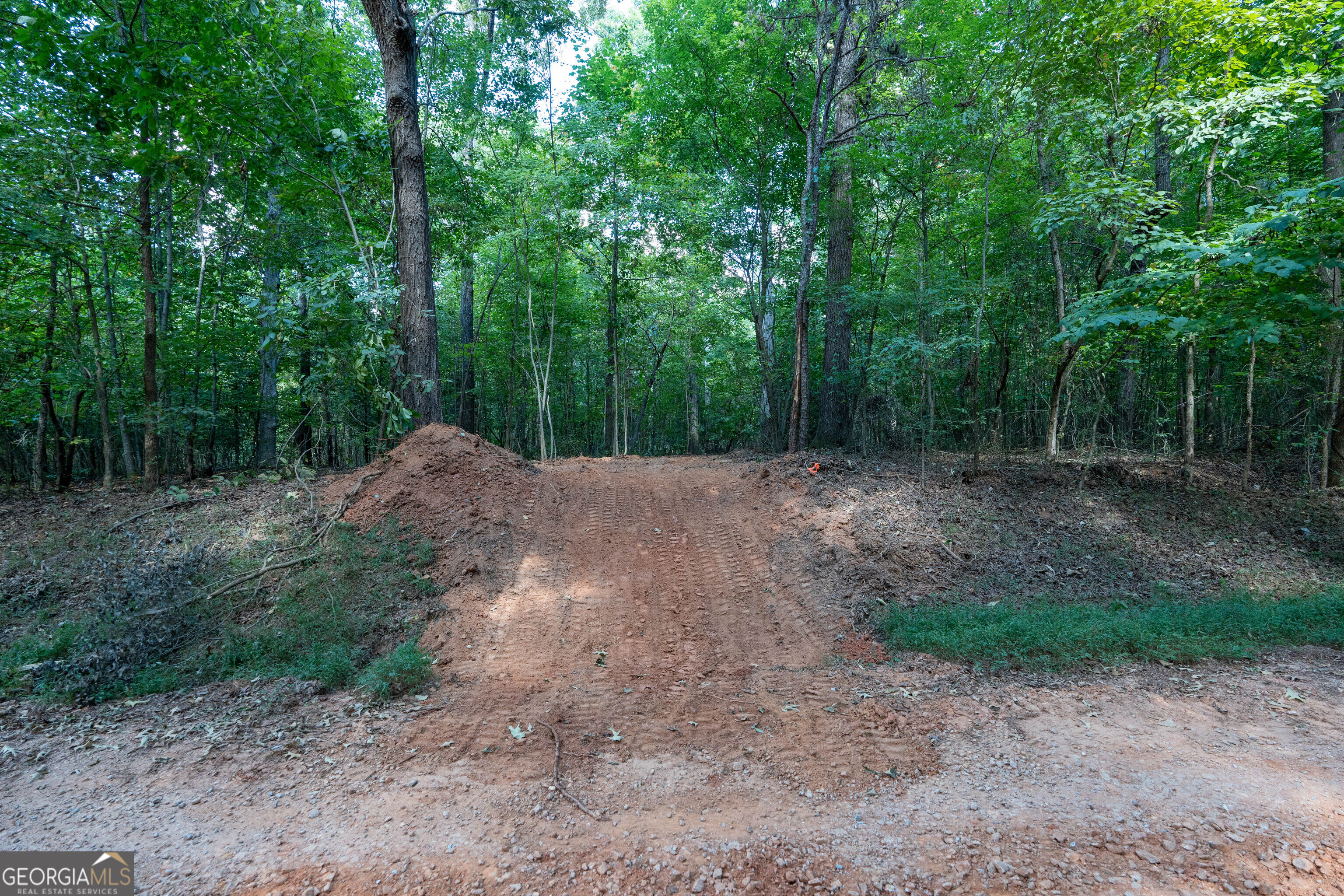 12 Bunch Road Tignall GA 30668