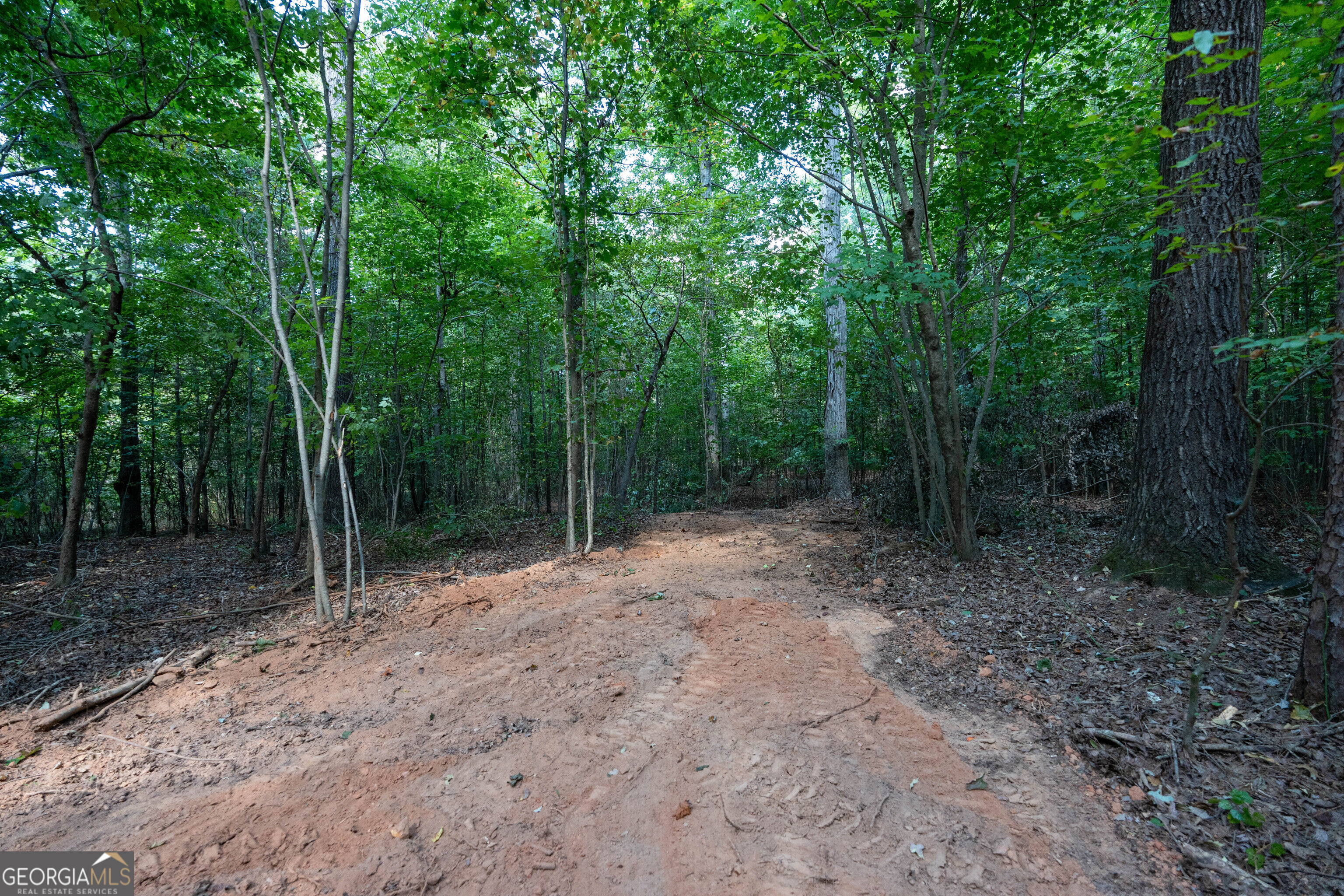 12 Bunch Road Tignall GA 30668