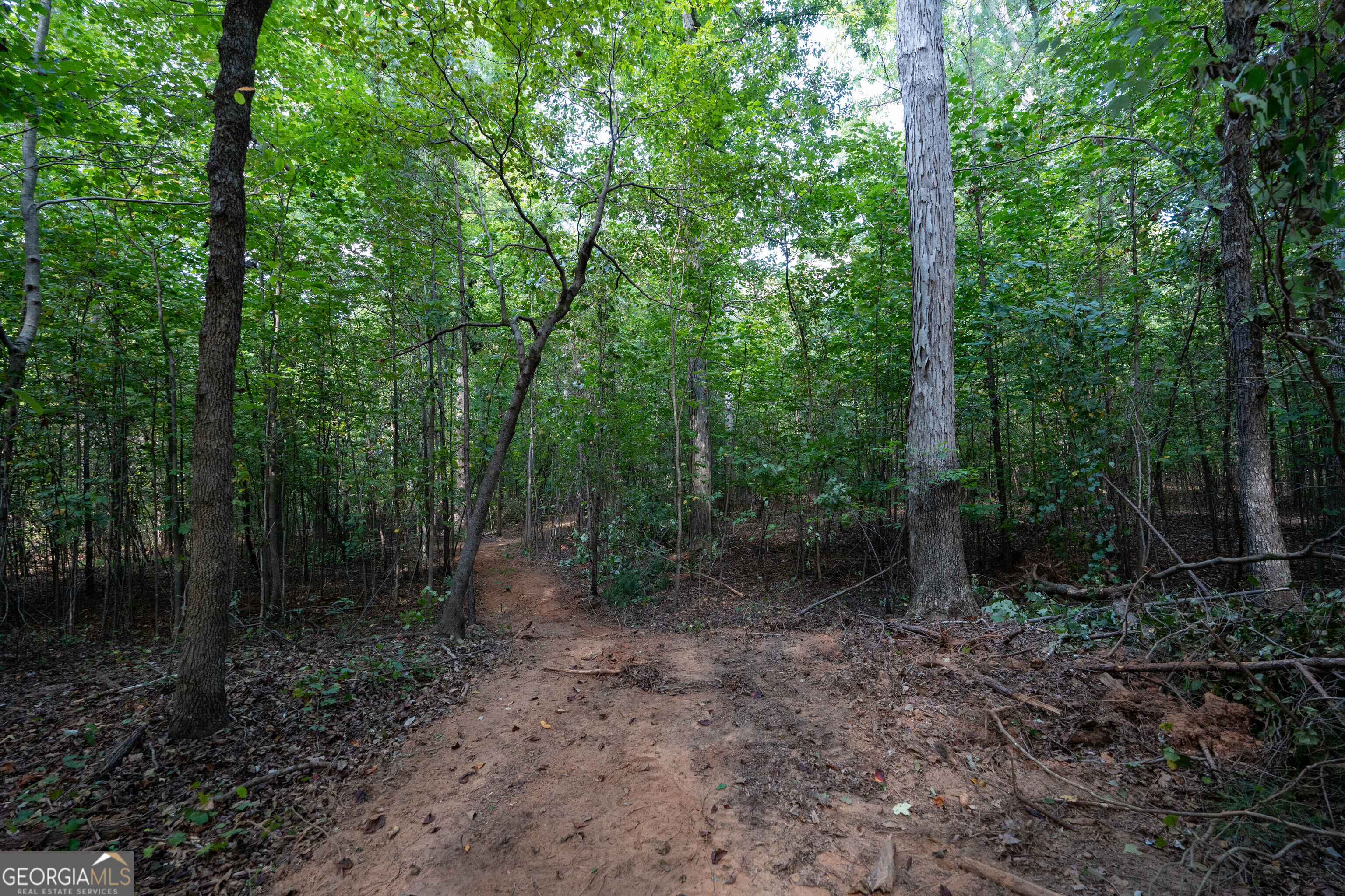 12 Bunch Road Tignall GA 30668