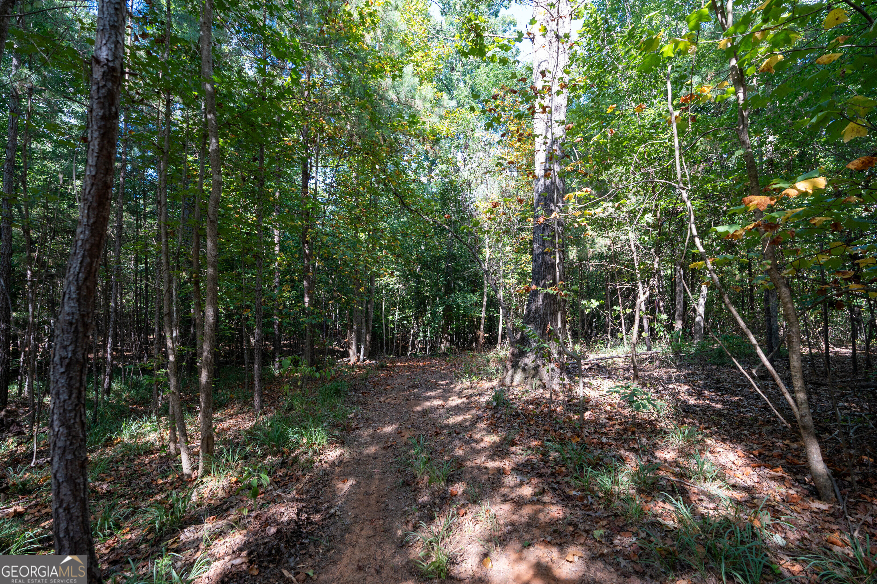 12 Bunch Road Tignall GA 30668