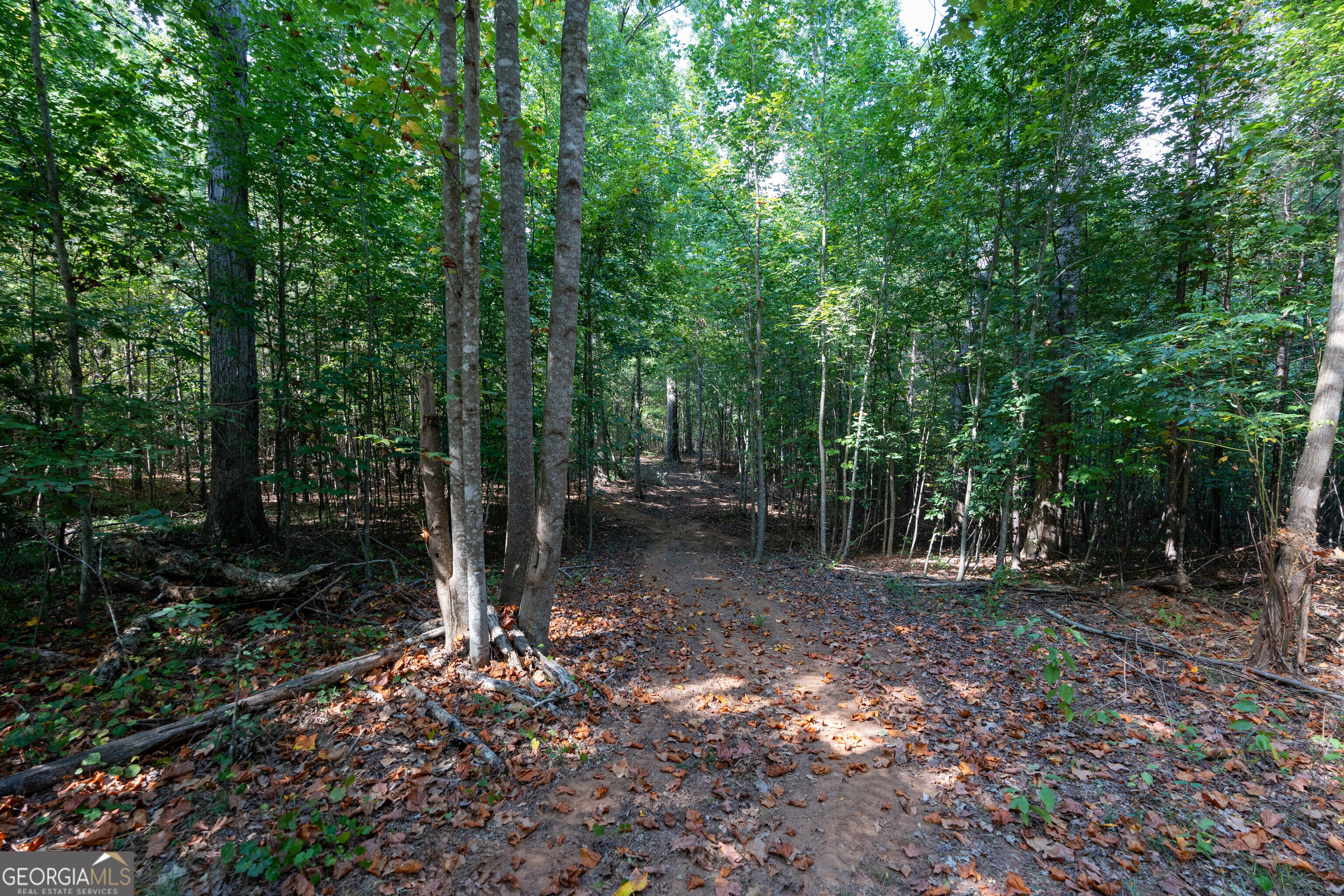 12 Bunch Road Tignall GA 30668