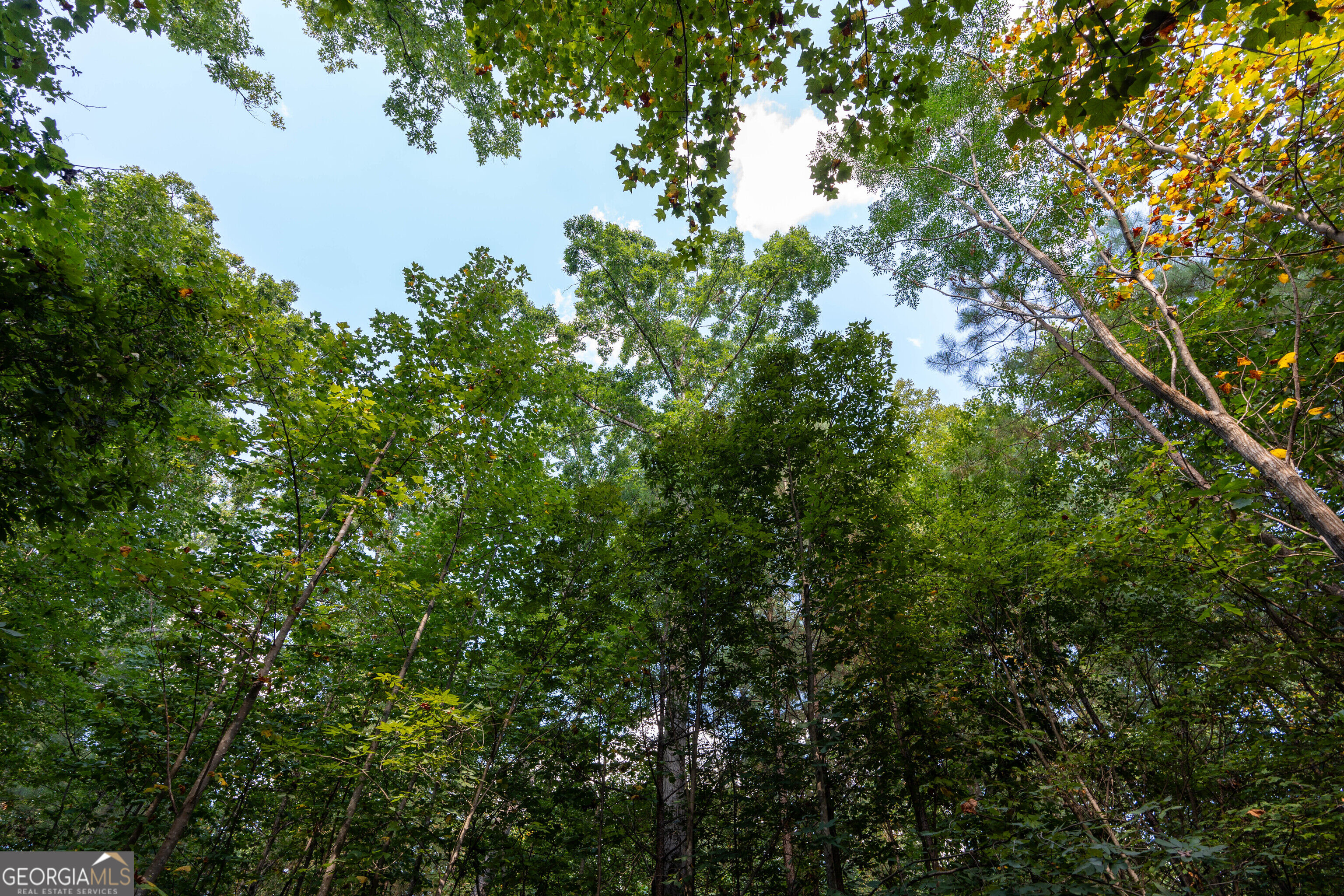 12 Bunch Road Tignall GA 30668