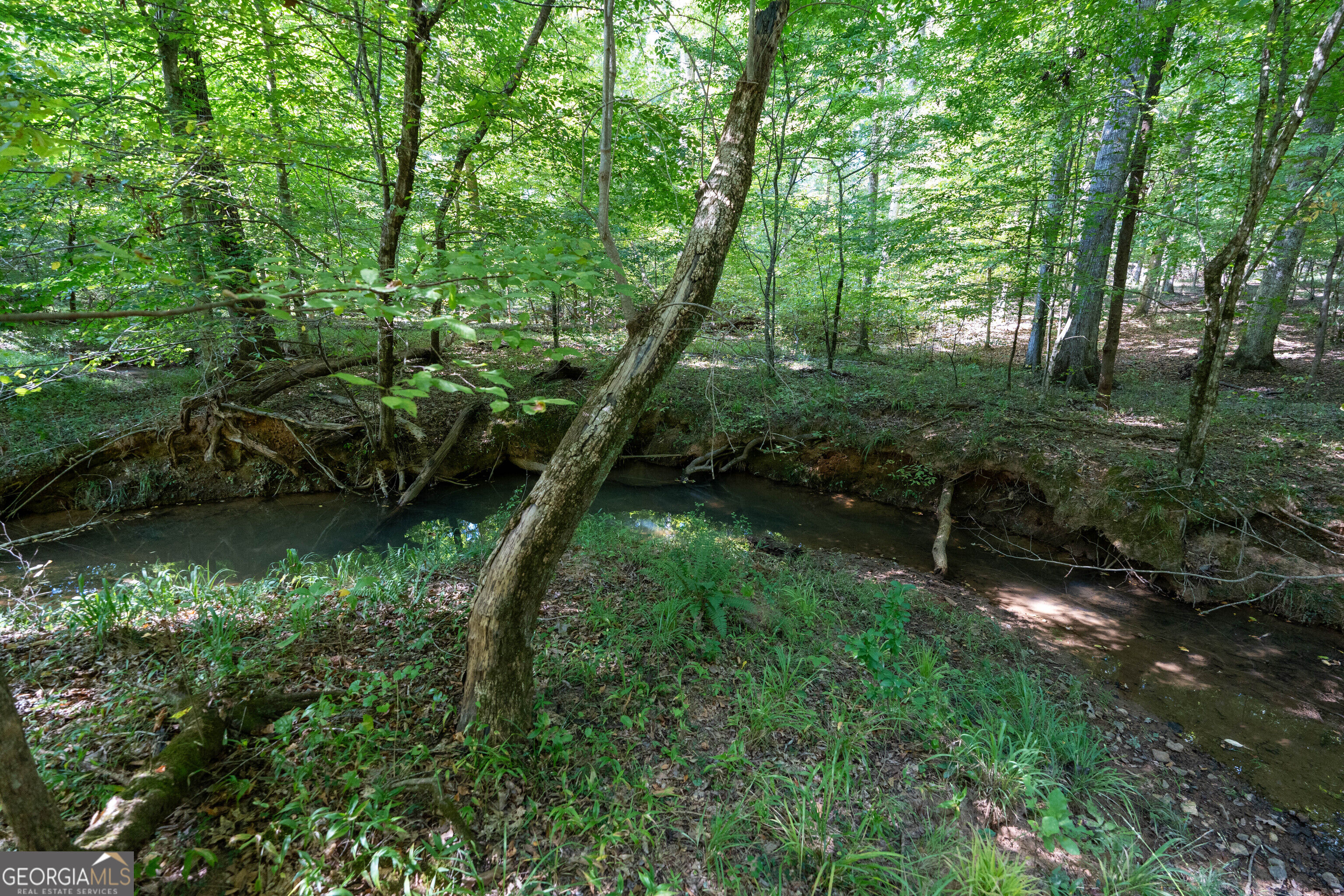 12 Bunch Road Tignall GA 30668