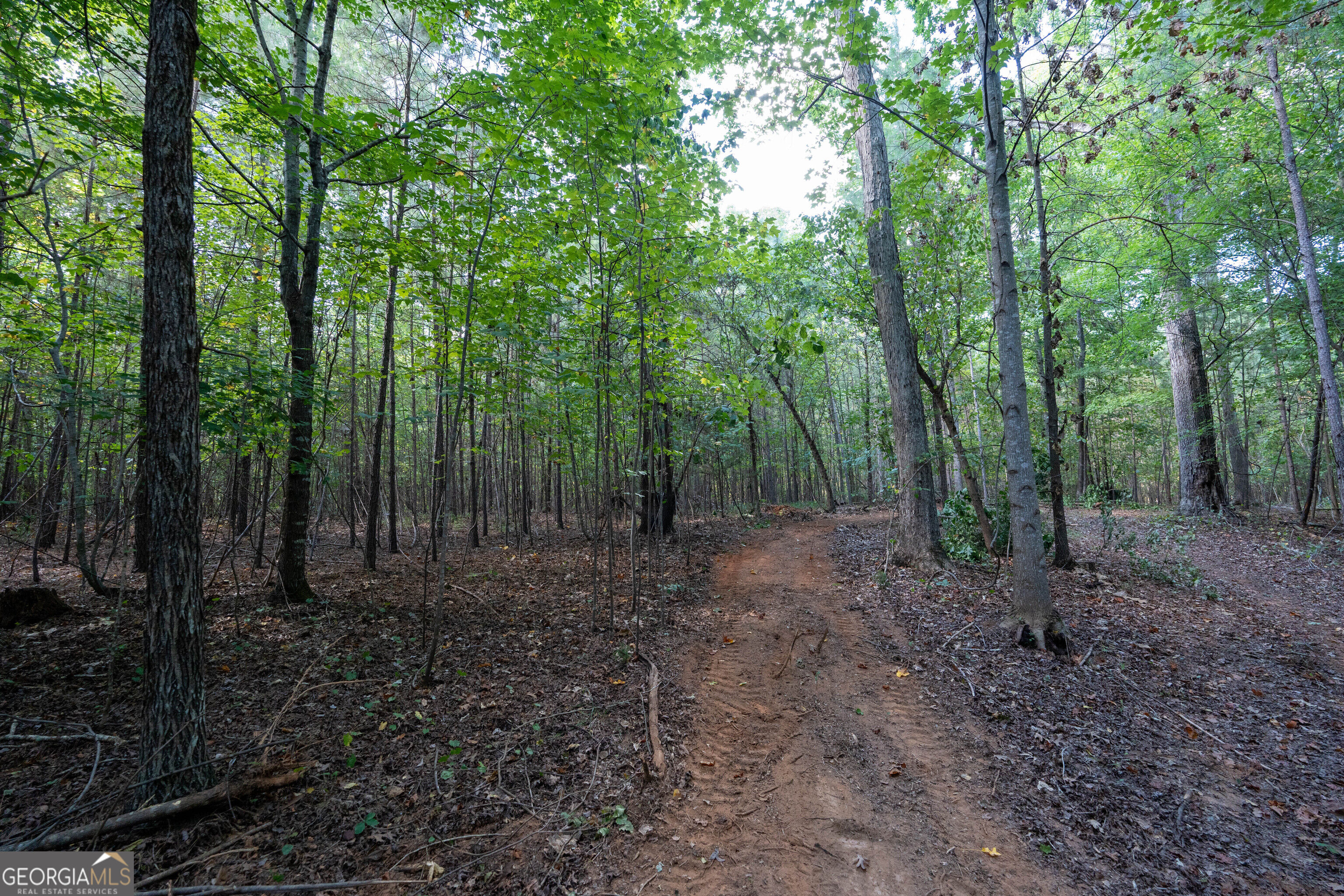 12 Bunch Road Tignall GA 30668