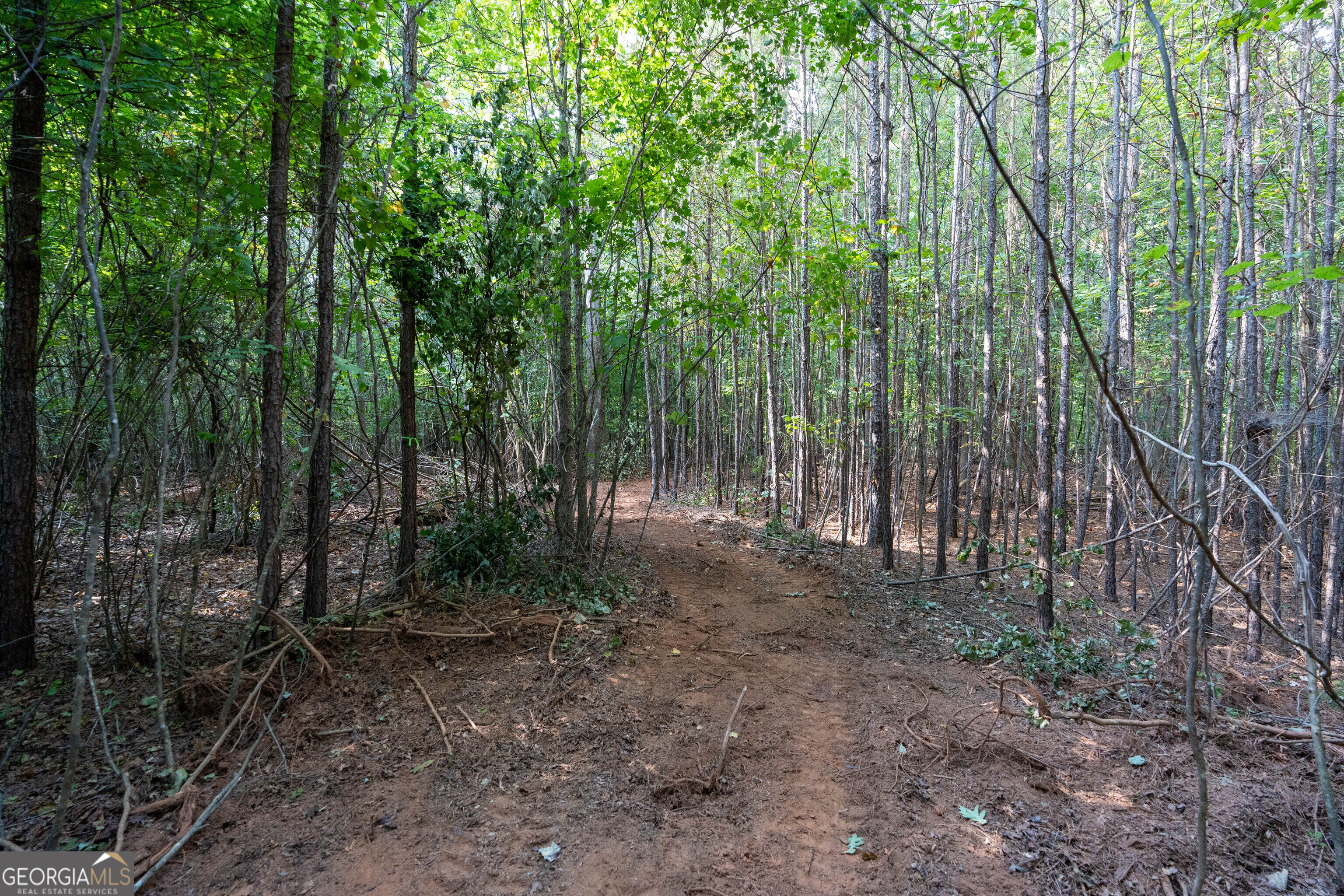 12 Bunch Road Tignall GA 30668