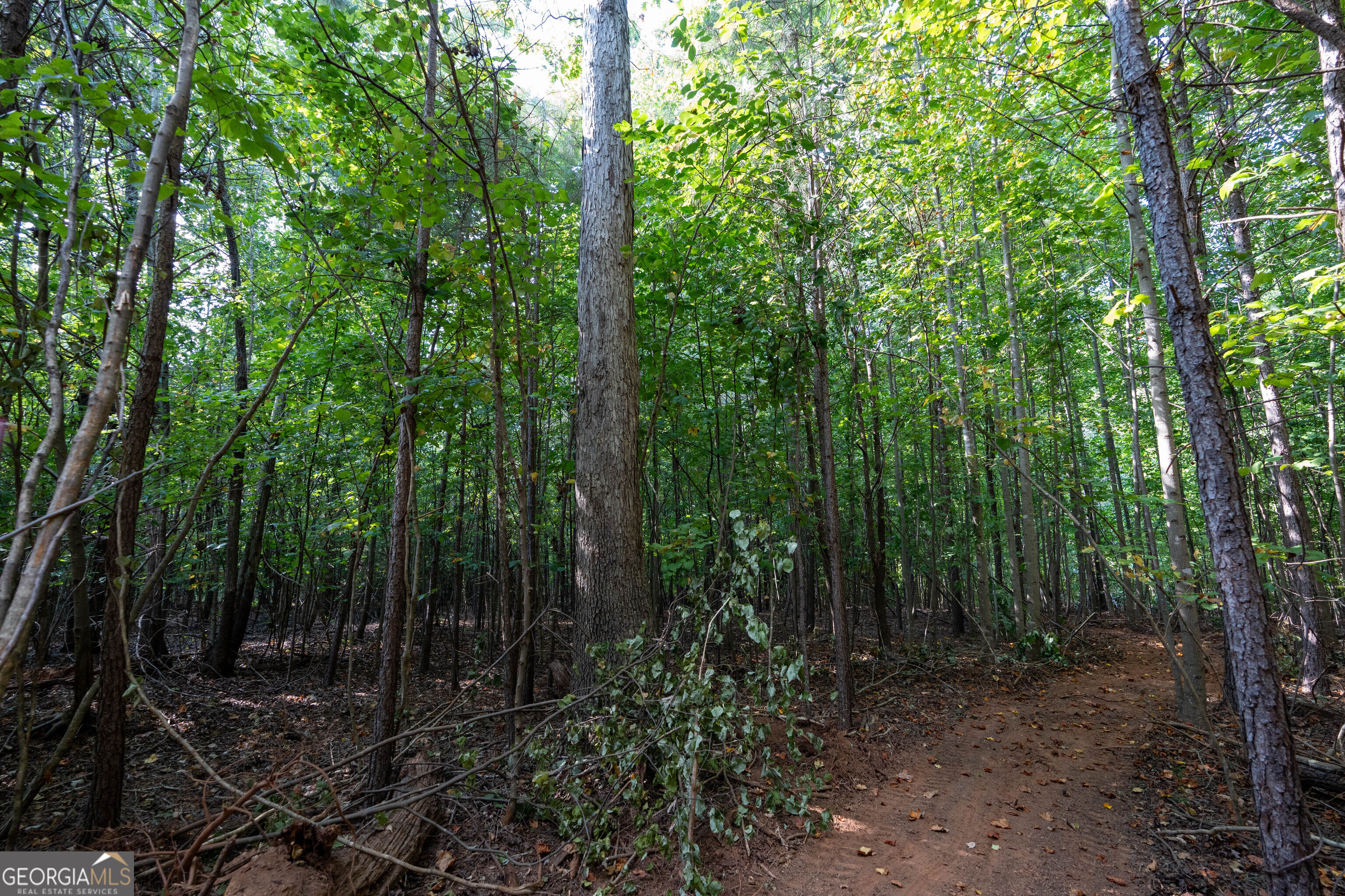 12 Bunch Road Tignall GA 30668