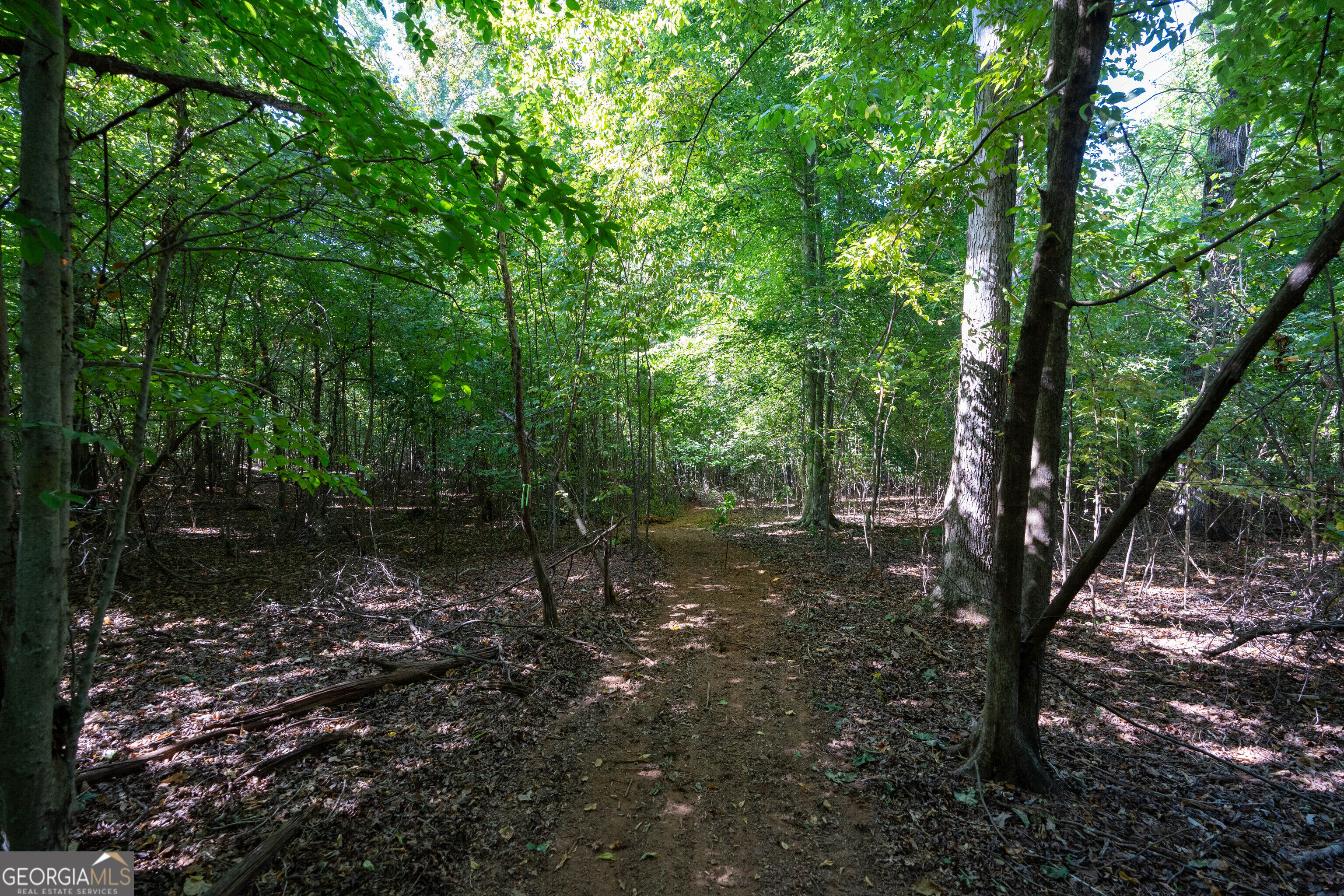 12 Bunch Road Tignall GA 30668